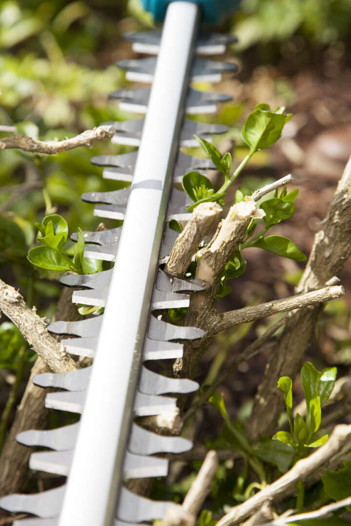 GARDENA Elektro-Teleskop-Heckenschere THS 500/48